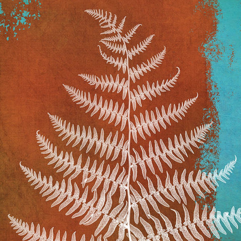 Fern Abstract Study II Black Ornate Wood Framed Art Print with Double Matting by Poinski, Dianne