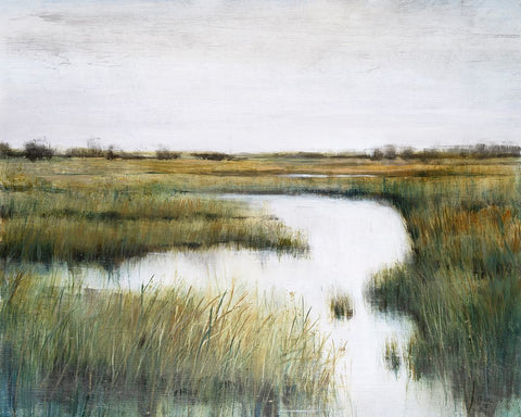 Misty Marshland  II White Modern Wood Framed Art Print with Double Matting by OToole, Tim