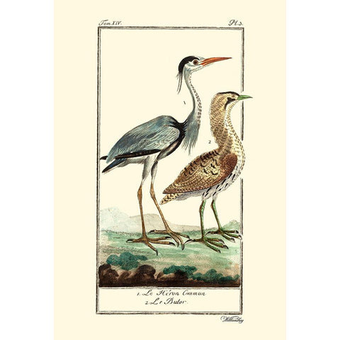 Custom Buffon Cranes And Herons III Gold Ornate Wood Framed Art Print with Double Matting by Buffon