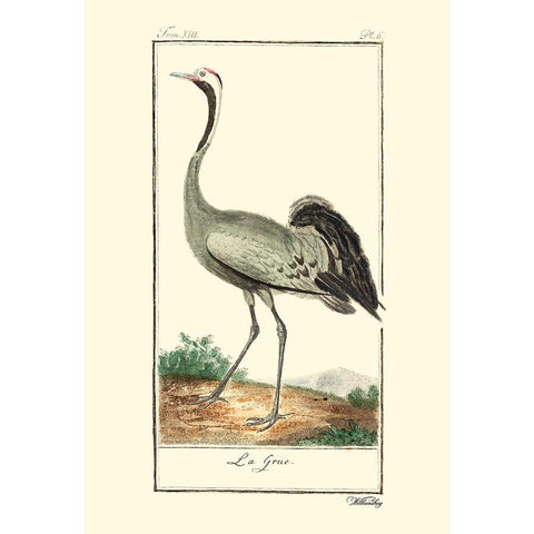 Custom Buffon Cranes And Herons IV Gold Ornate Wood Framed Art Print with Double Matting by Buffon