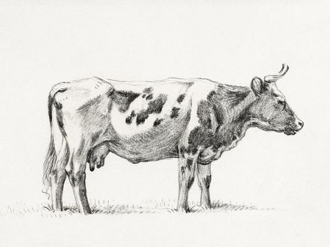 Bernard Cow Sketch III White Modern Wood Framed Art Print with Double Matting by Bernard, Jean