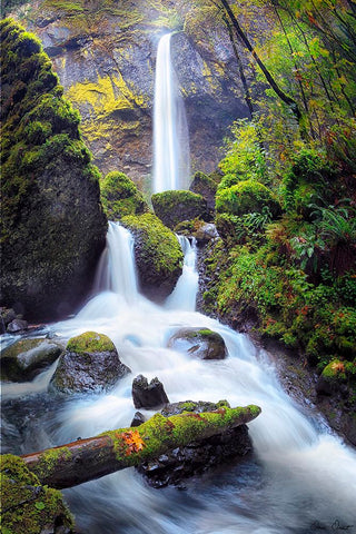 Rapid Waterfall I Black Ornate Wood Framed Art Print with Double Matting by Drost, David
