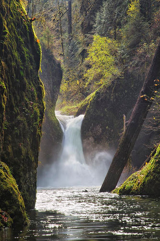 Rapid Waterfall II White Modern Wood Framed Art Print with Double Matting by Drost, David