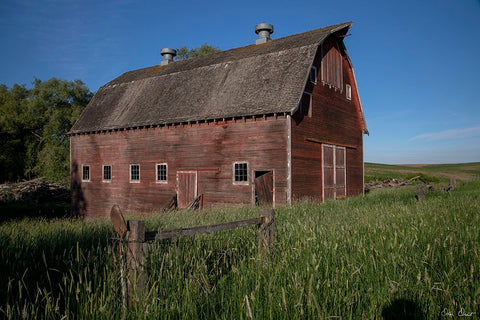 Rustic Palouse Barn II White Modern Wood Framed Art Print with Double Matting by Drost, David