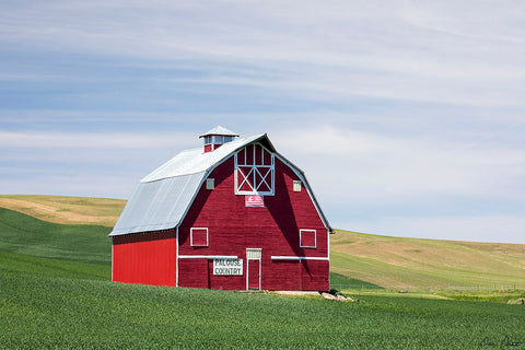 Red Palouse Barn II Black Modern Wood Framed Art Print by Drost, David