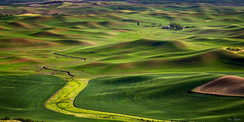 The Palouse Countryside  I Black Modern Wood Framed Art Print by Drost, David
