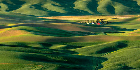 The Palouse Countryside  II White Modern Wood Framed Art Print with Double Matting by Drost, David