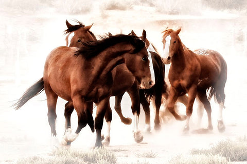 The Finish Line White Modern Wood Framed Art Print with Double Matting by Drost, David