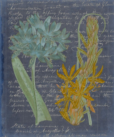 Midnight Sonnet II White Modern Wood Framed Art Print with Double Matting by Vision Studio