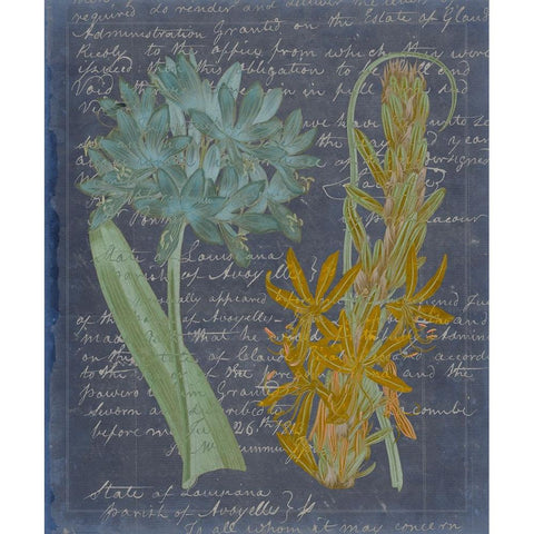 Midnight Sonnet II Black Modern Wood Framed Art Print with Double Matting by Vision Studio