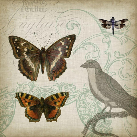 Cartouche and Wings III White Modern Wood Framed Art Print with Double Matting by Goldberger, Jennifer