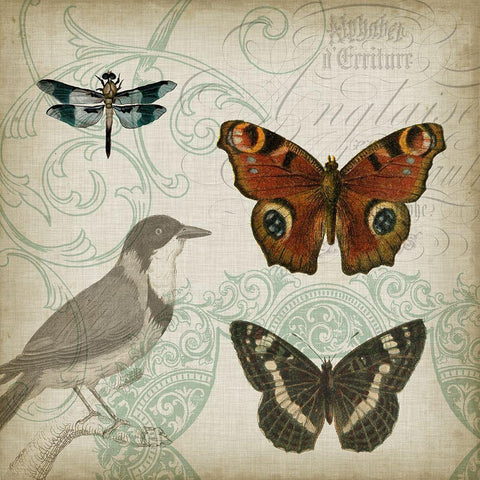 Cartouche and Wings IV White Modern Wood Framed Art Print by Goldberger, Jennifer