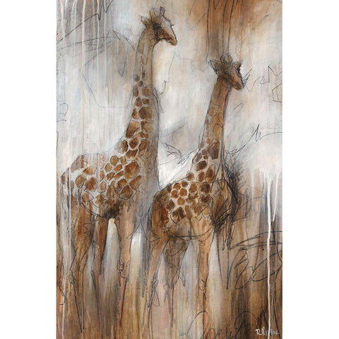 Giraffe Study Black Modern Wood Framed Art Print with Double Matting by Drotar, Rikki