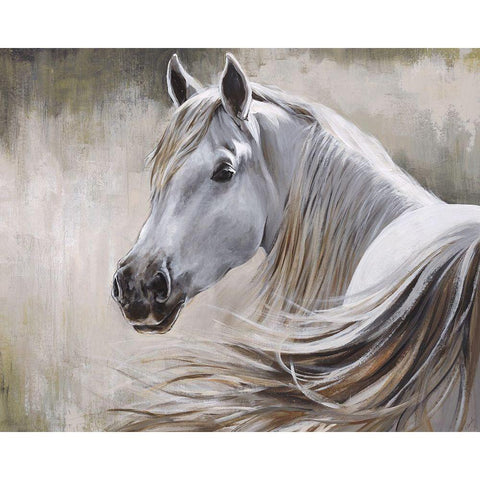 Kentucky White Modern Wood Framed Art Print by Edmunds, Sydney