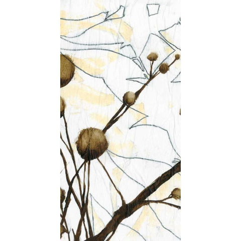 Willow Blooms I Black Modern Wood Framed Art Print with Double Matting by Goldberger, Jennifer