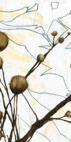 Willow Blooms I White Modern Wood Framed Art Print with Double Matting by Goldberger, Jennifer