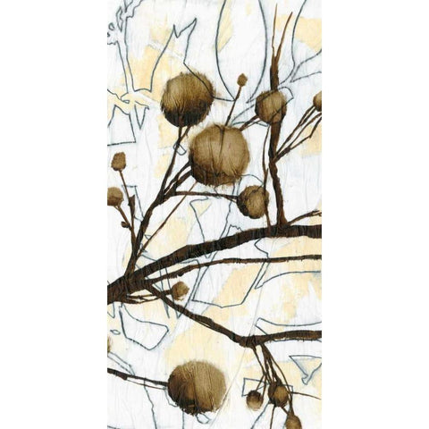 Willow Blooms II Gold Ornate Wood Framed Art Print with Double Matting by Goldberger, Jennifer