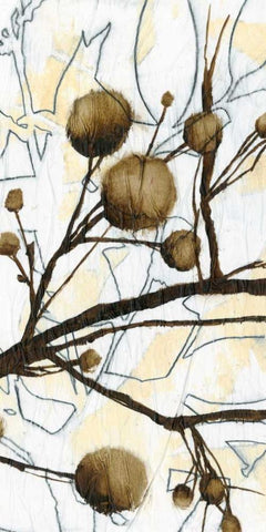 Willow Blooms II White Modern Wood Framed Art Print with Double Matting by Goldberger, Jennifer