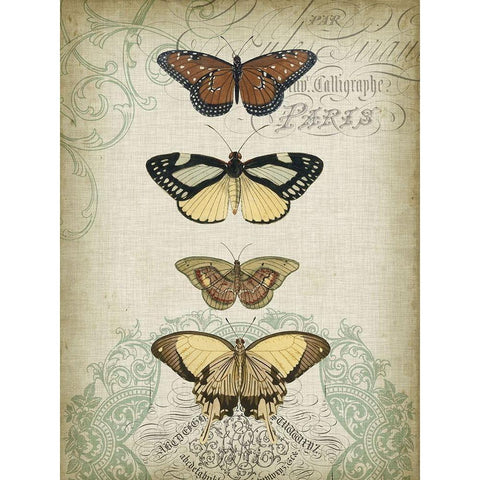 Cartouche and Butterflies I Gold Ornate Wood Framed Art Print with Double Matting by Goldberger, Jennifer