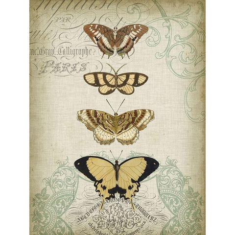 Cartouche and Butterflies II Gold Ornate Wood Framed Art Print with Double Matting by Goldberger, Jennifer