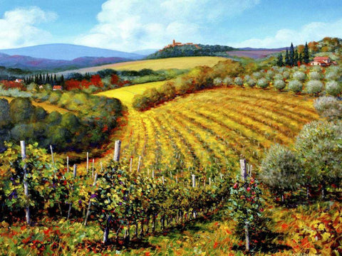 Chianti Vineyards White Modern Wood Framed Art Print with Double Matting by Swanson, Michael