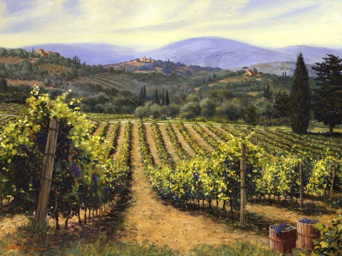Tuscany Vines White Modern Wood Framed Art Print with Double Matting by Swanson, Michael