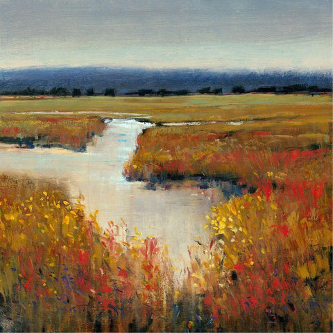 Marsh Land I Black Modern Wood Framed Art Print with Double Matting by OToole, Tim