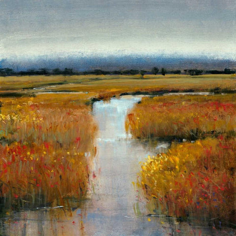 Marsh Land II Black Modern Wood Framed Art Print with Double Matting by OToole, Tim