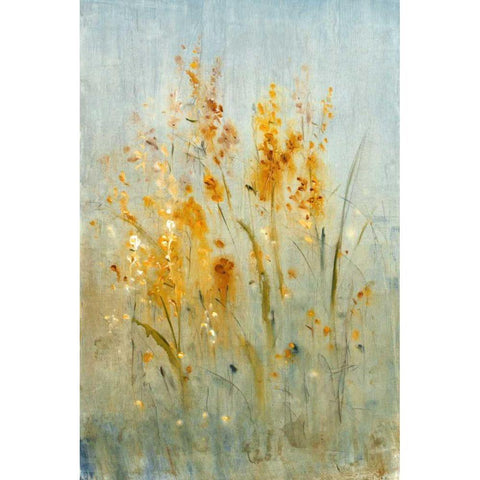 Spray of Wildflowers I Black Modern Wood Framed Art Print with Double Matting by OToole, Tim
