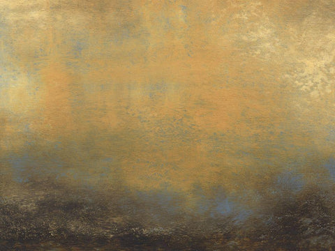 Luminous II Black Ornate Wood Framed Art Print with Double Matting by Gordon, Sharon