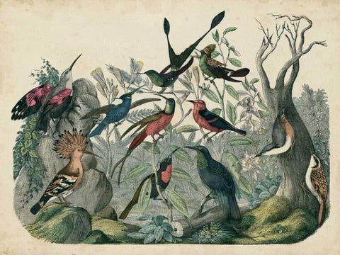 Habitat for Birds Black Ornate Wood Framed Art Print with Double Matting by Unknown