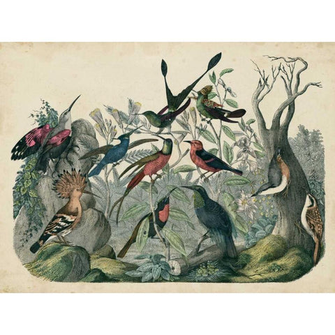 Habitat for Birds Black Modern Wood Framed Art Print with Double Matting by Unknown