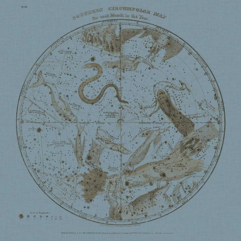 Southern Circumpolar Map Black Ornate Wood Framed Art Print with Double Matting by Evans, W.G.