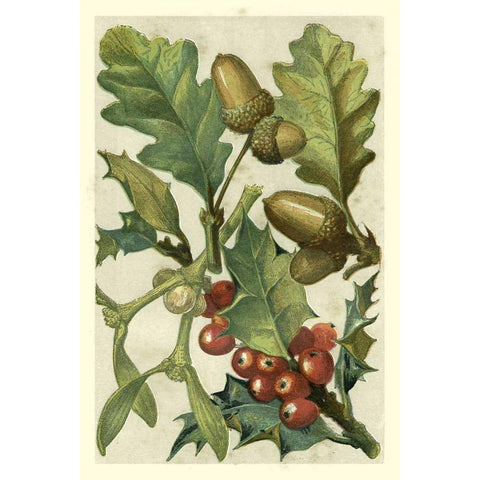 Fruits and Foliage II White Modern Wood Framed Art Print by Vision Studio