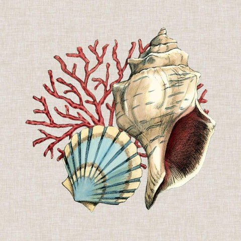 By the Seashore II White Modern Wood Framed Art Print with Double Matting by Meagher, Megan