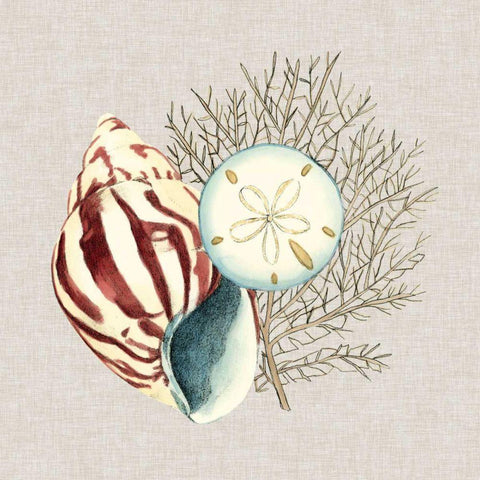 By the Seashore III White Modern Wood Framed Art Print with Double Matting by Meagher, Megan