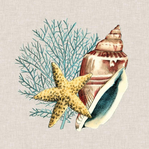 By the Seashore IV Black Modern Wood Framed Art Print by Meagher, Megan