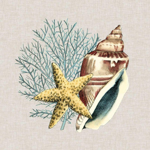 By the Seashore IV Black Modern Wood Framed Art Print by Meagher, Megan