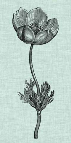 Celadon Beauty I Black Ornate Wood Framed Art Print with Double Matting by Vision Studio