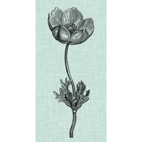 Celadon Beauty I White Modern Wood Framed Art Print by Vision Studio