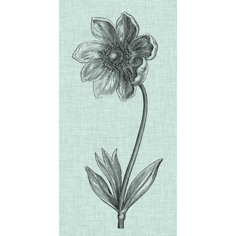 Celadon Beauty II Gold Ornate Wood Framed Art Print with Double Matting by Vision Studio