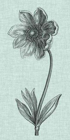 Celadon Beauty II Black Ornate Wood Framed Art Print with Double Matting by Vision Studio