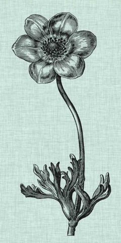 Celadon Beauty IV White Modern Wood Framed Art Print with Double Matting by Vision Studio