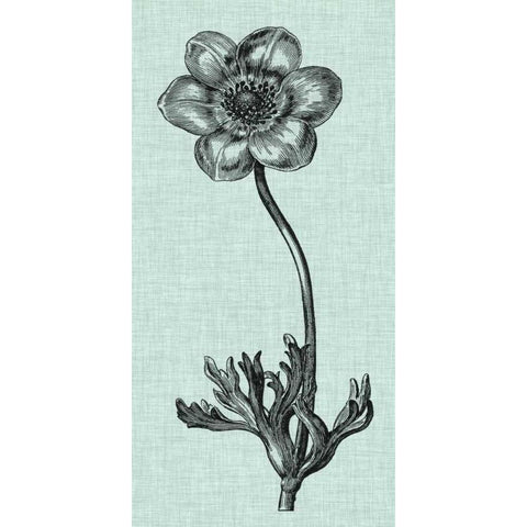 Celadon Beauty IV White Modern Wood Framed Art Print by Vision Studio