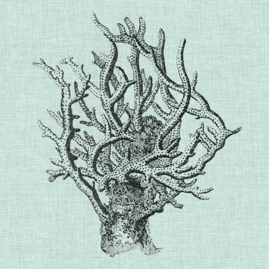 Image Only