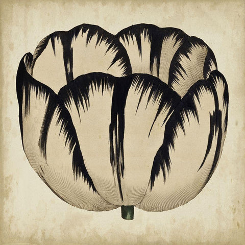 Pop Floral III Black Modern Wood Framed Art Print by Vision Studio