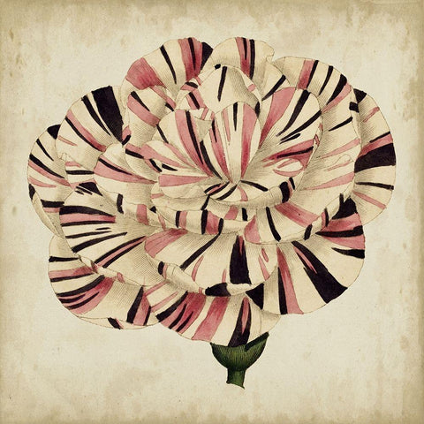 Pop Floral VI Black Ornate Wood Framed Art Print with Double Matting by Vision Studio