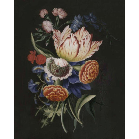 Dramatic Bouquet II Black Modern Wood Framed Art Print with Double Matting by Unknown