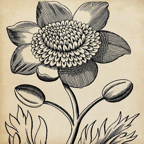 Graphic Floral III Black Modern Wood Framed Art Print by Vision Studio