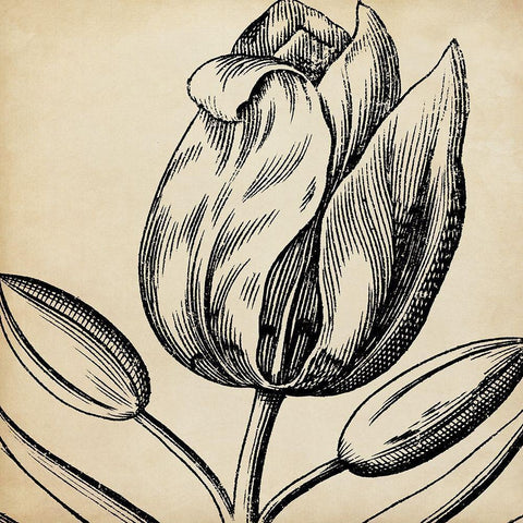 Graphic Floral VI White Modern Wood Framed Art Print with Double Matting by Vision Studio